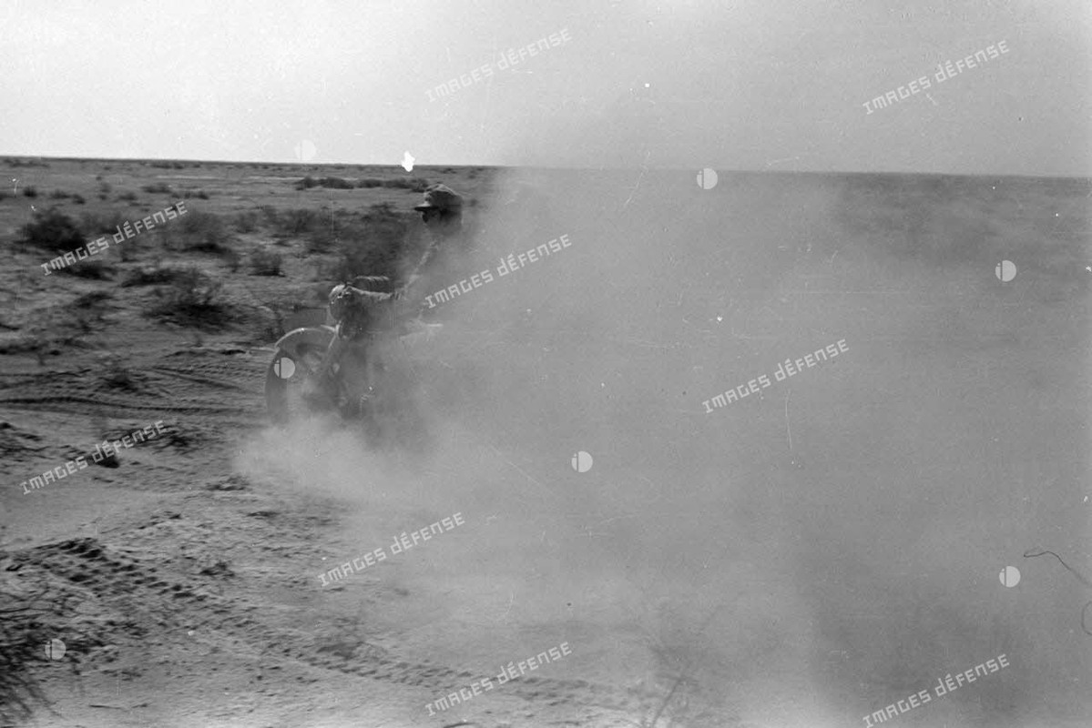 Side-cars qui roulent dans le désert 1941 (2)
