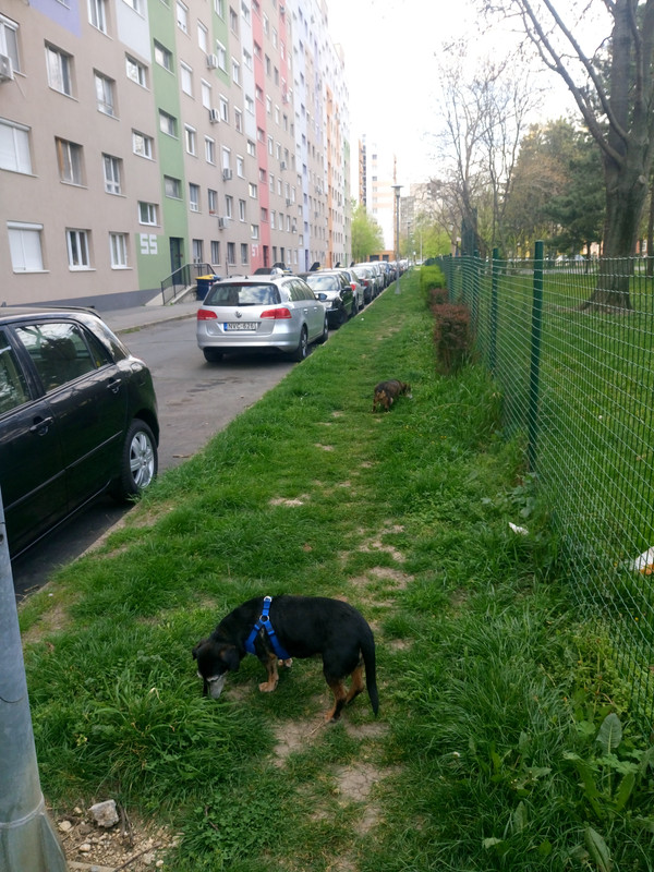 Kép