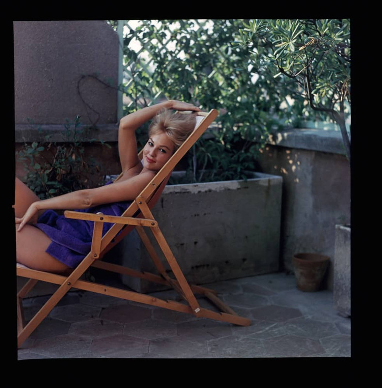 mylenedemongeot_md98