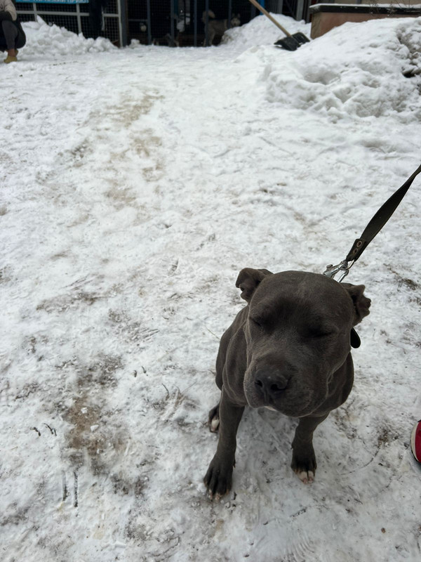 WhatsApp Image 2023-12-24 at 15.55.36 (2)