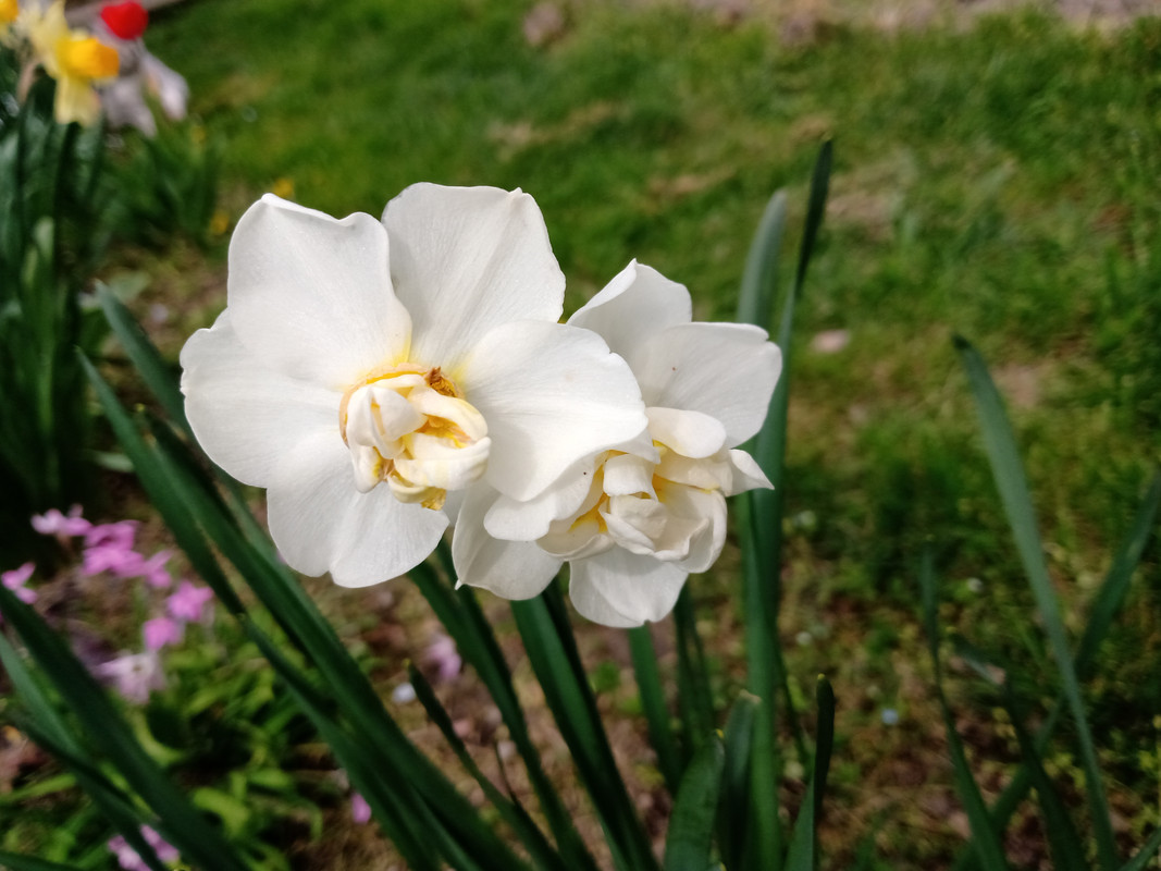 IMG_20230416_114508143