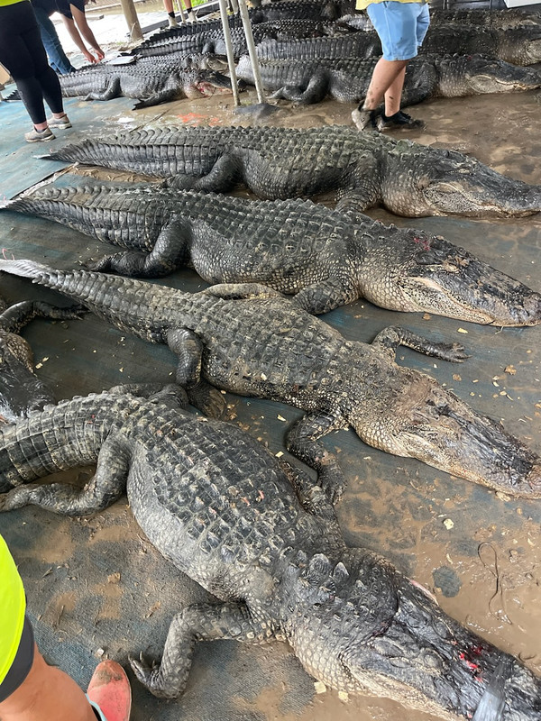 5810A4EB-0E49-422C-9934-E0BB010DA07C