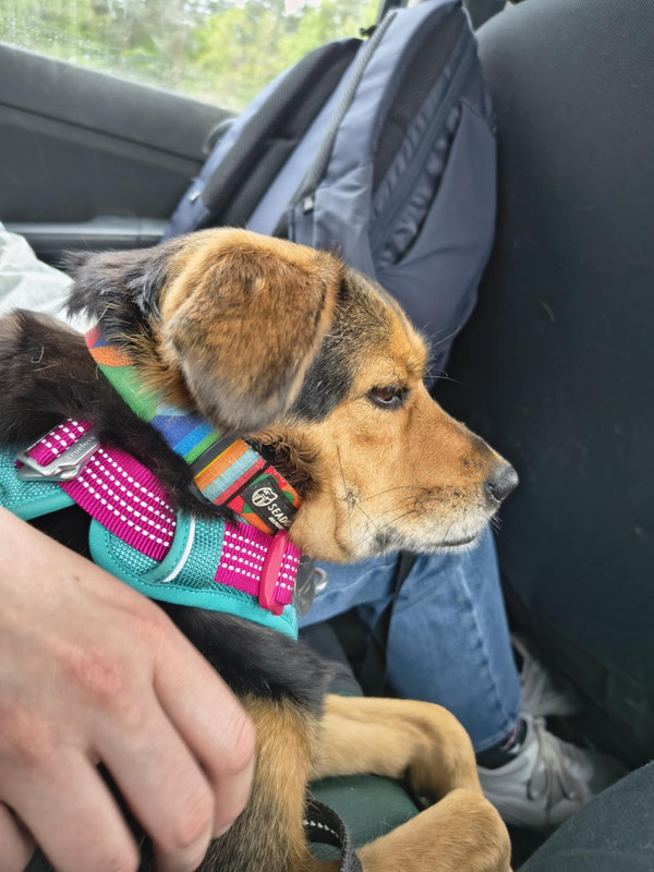 att.FhYZr_9eBguwWscwcAe6HBnPiGuAE966KoaKqv51vKM