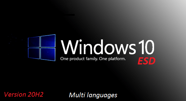 Windows 10 x64 20H2 Build 19042.867 Pro OEM ESD Multilanguage Preactivated March 2021