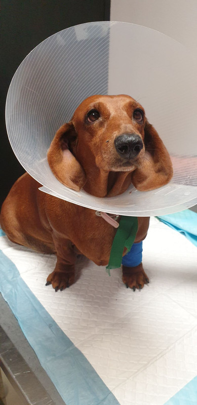 [Image: IMG-20240503-195817.jpg]