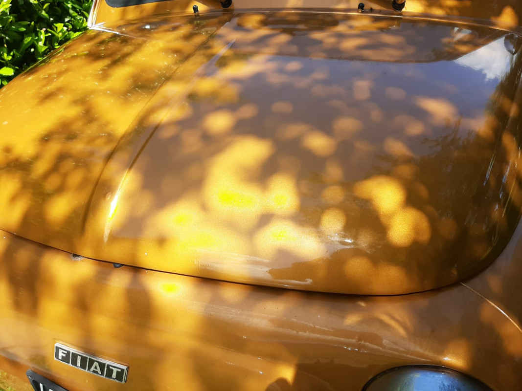 FIAT-500-XPECIAL-MOTORS-CAR-IMPORT-7