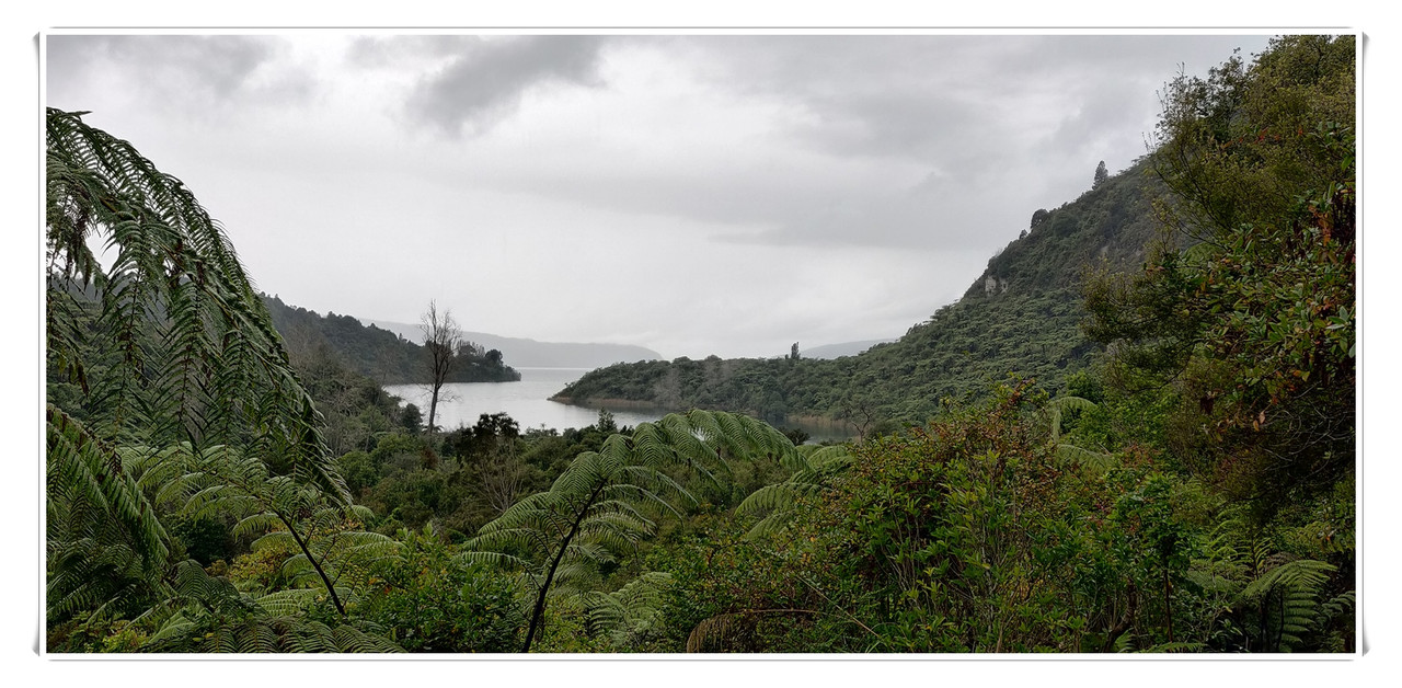 Cosas que hacer en Rotorua - Escapadas y rutas por la Nueva Zelanda menos conocida (34)