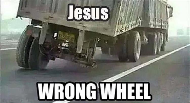 the-funny-pictures-81.jpg