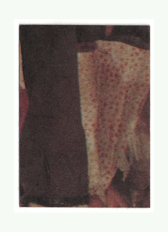 Picture 14 of 86