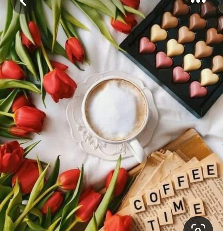 Screenshot_20230322_003137_Pinterest