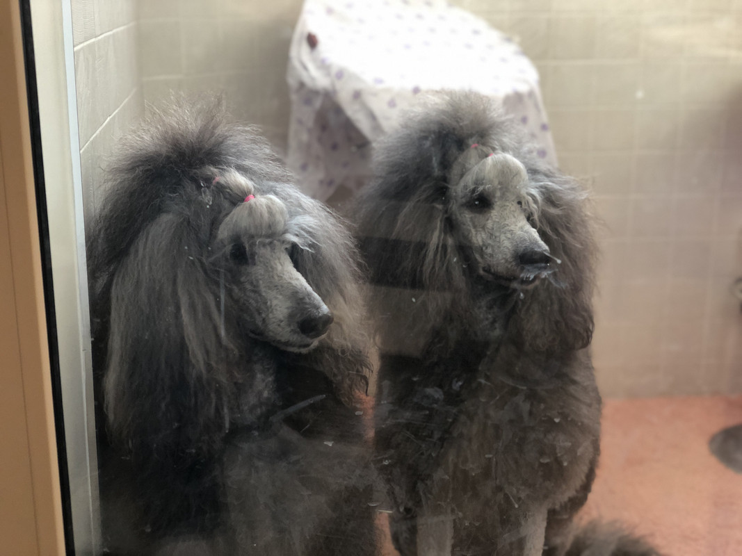 4E75BE75-E0E1-41C6-9185-508EF06CEB7F_1_201_a