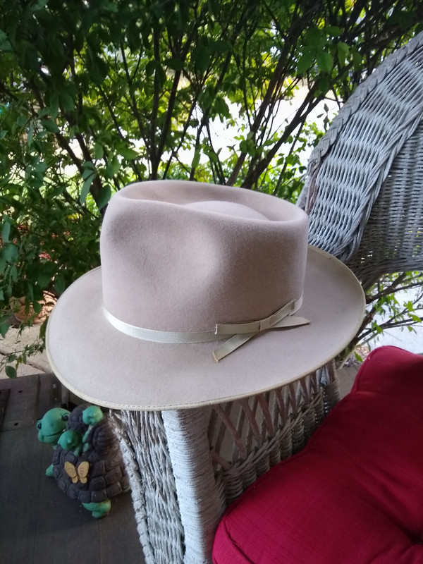IMG-20191012-080039179.jpg