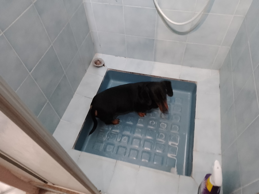 [Image: IMG-20220126-165926.jpg]