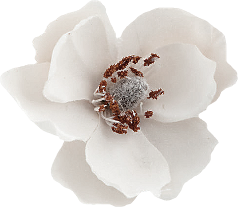 Autumn Witchery (113)