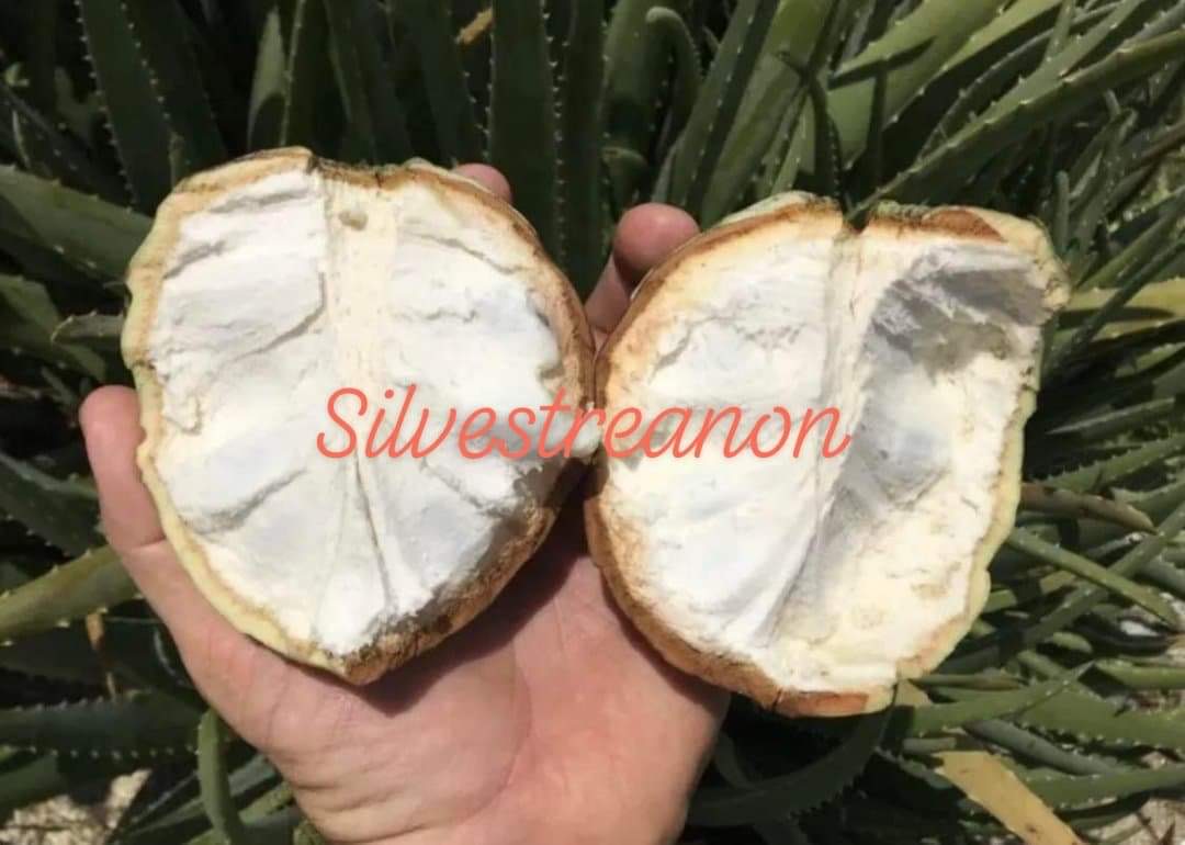 EA49C427-D185-4D22-81D8-73E381E7C3ED