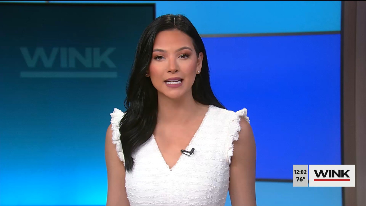 The WINK Noon News 2022_04_08_17_00_00.ts_snapshot_08.15.227