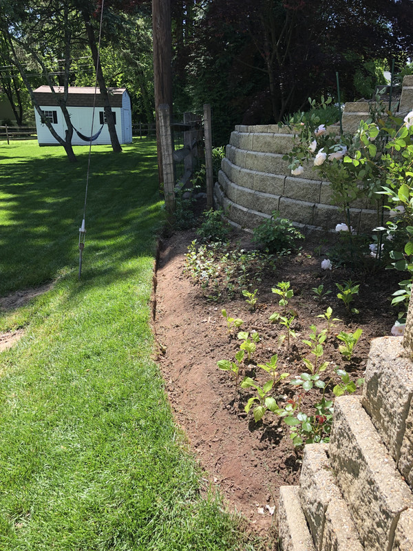 7E028ACF-C2D7-46D7-AADB-0E16BC56499E