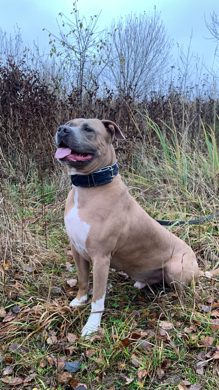 FD981DCE-C535-496F-BF49-396BABF25A51