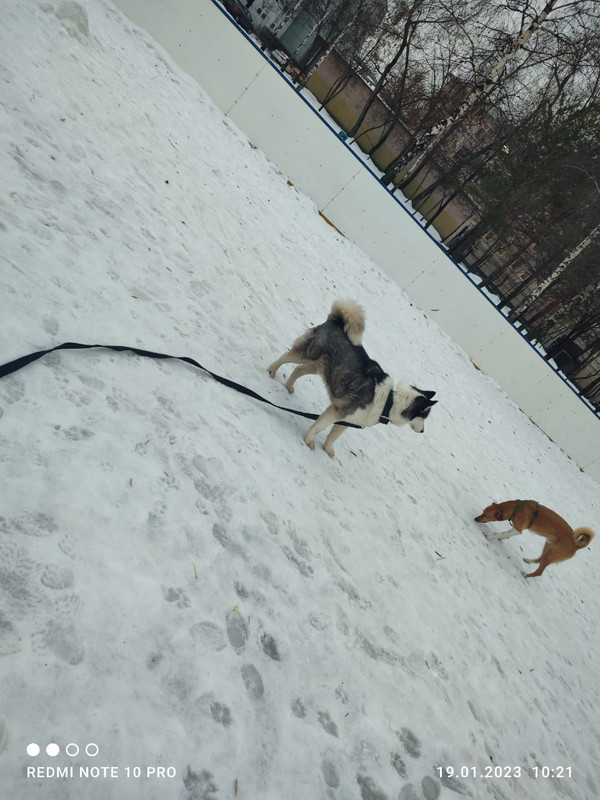 DAA5106F-0F99-4D37-A7A3-F0F34770847B