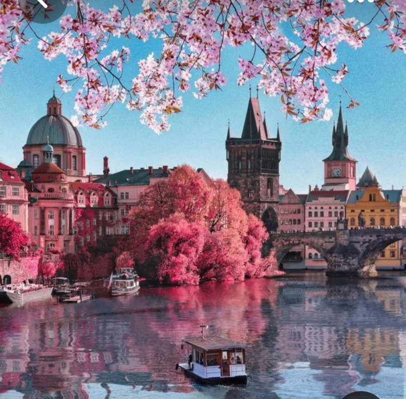 Screenshot_20230401_014036_Pinterest