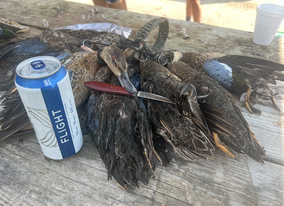 Screen Shot 2025-07-15 at 12.56.37 AM