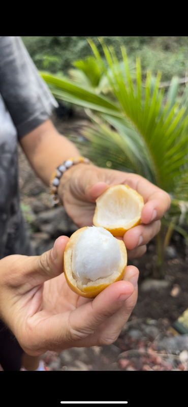 DBC494CE-64F3-4167-B7F3-AEE6D3AD9702