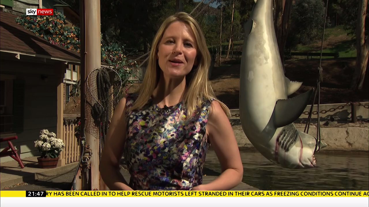 Sky News at 9_20180302_21302200.ts_snapshot_18.54_[2018.03.02_22