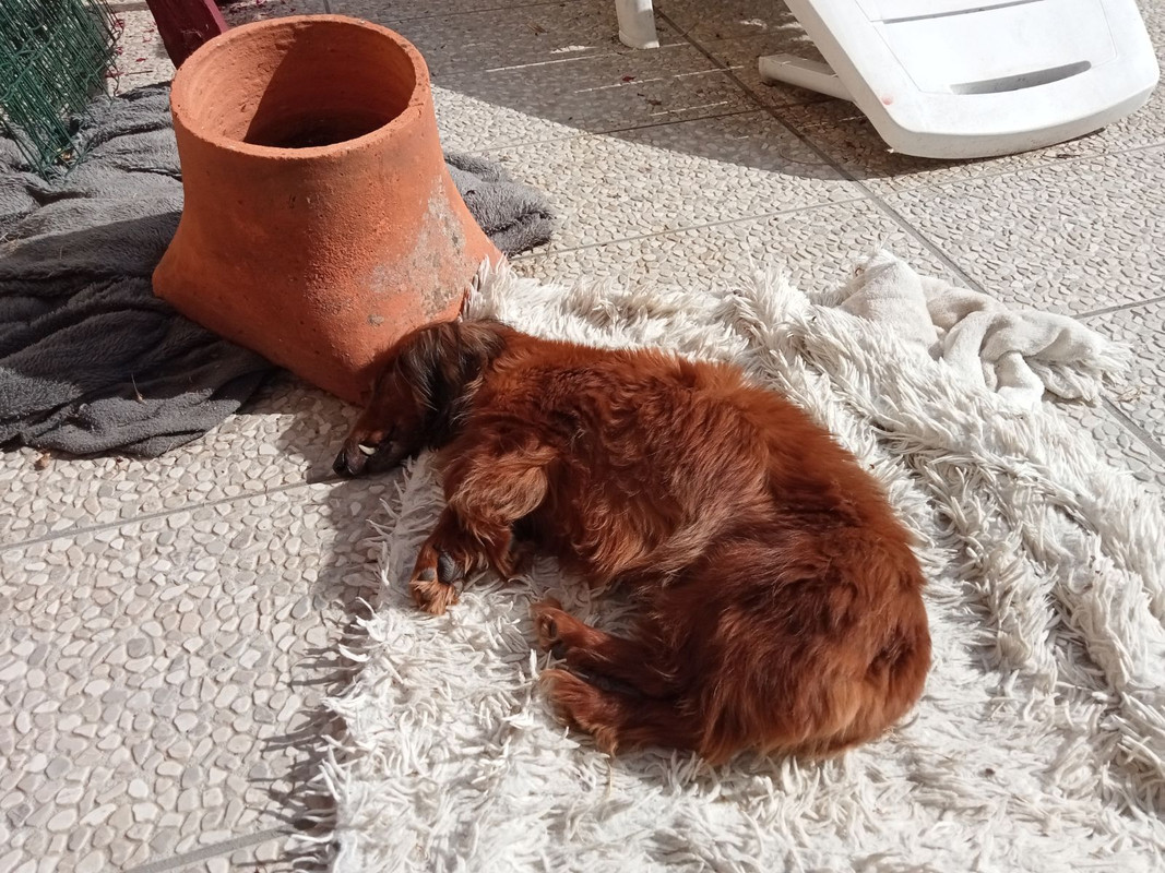 [Image: IMG-20240809-105130.jpg]