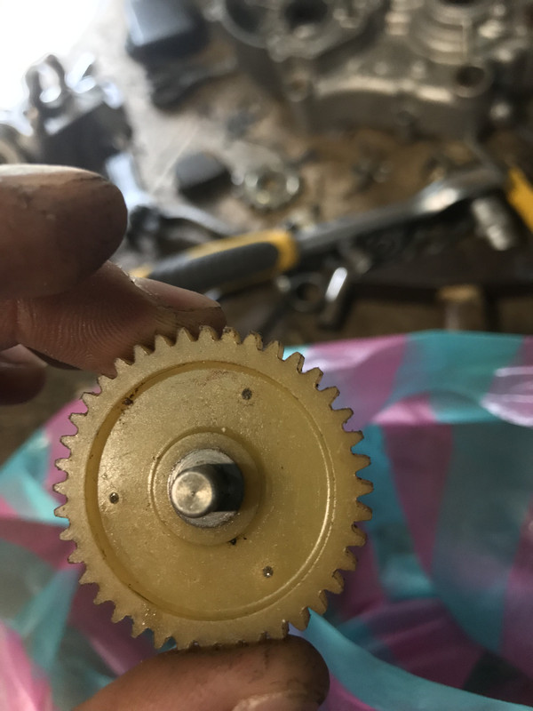 0E5829D4-515D-47B3-9359-1FE3471482E3