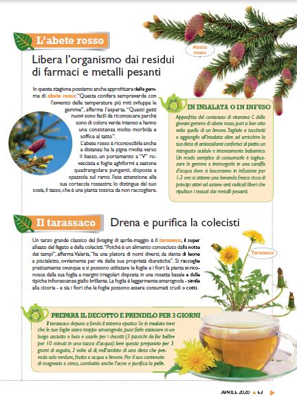 Salute Nat Apr 2020 (8)