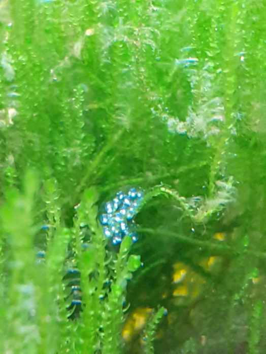 Resized_20220502_194944