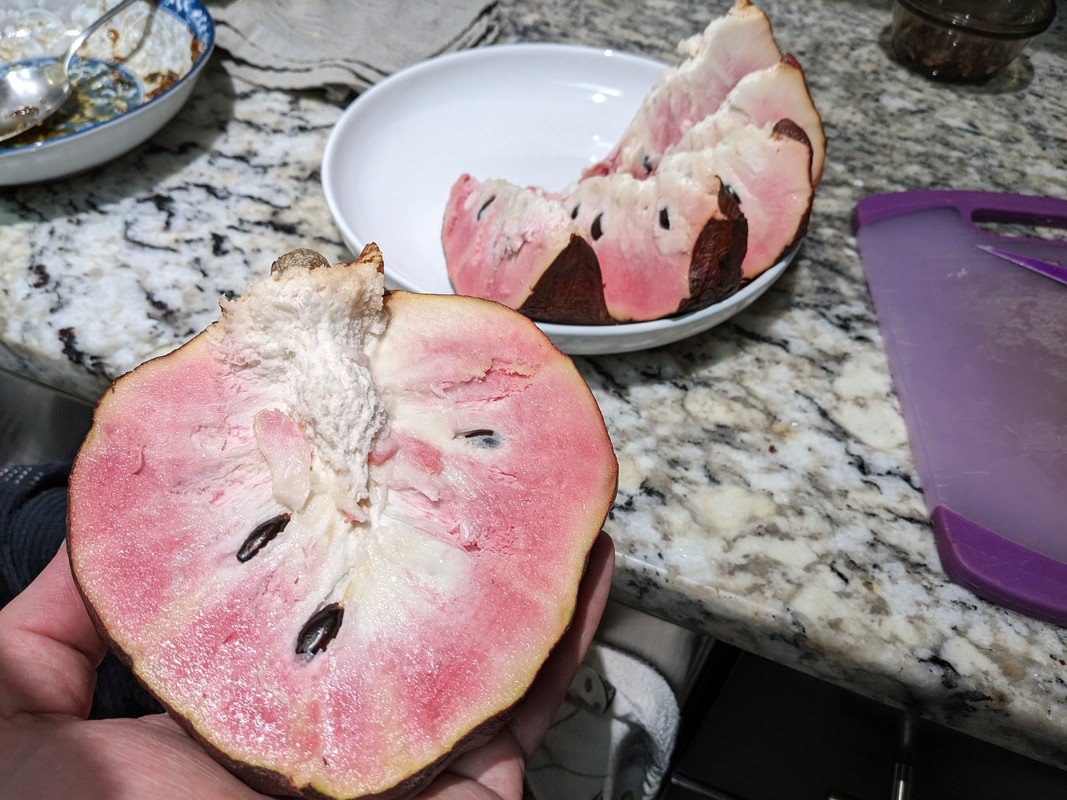 PXL_20230305_205856650