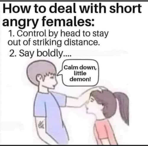 deal-with-short-angy-females-head-little-demon.jpg