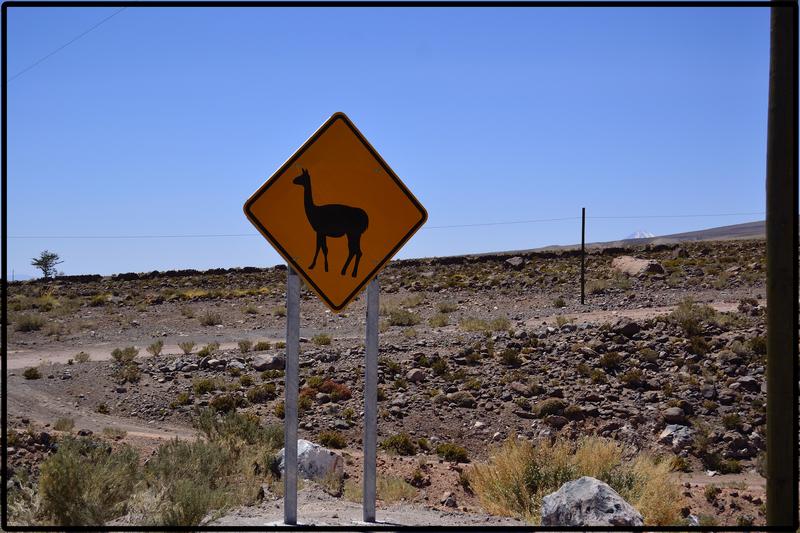 DE ATACAMA A LA PAZ. ROZANDO EL CIELO 2019 - Blogs de America Sur - ANEXO I. CARRETERAS (12)