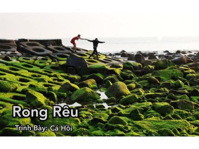 [Image: in-Collage-20190521-104150789.jpg]