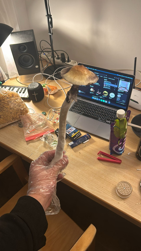 WhatsApp Image 2024-03-09 at 16.16.57 (1)