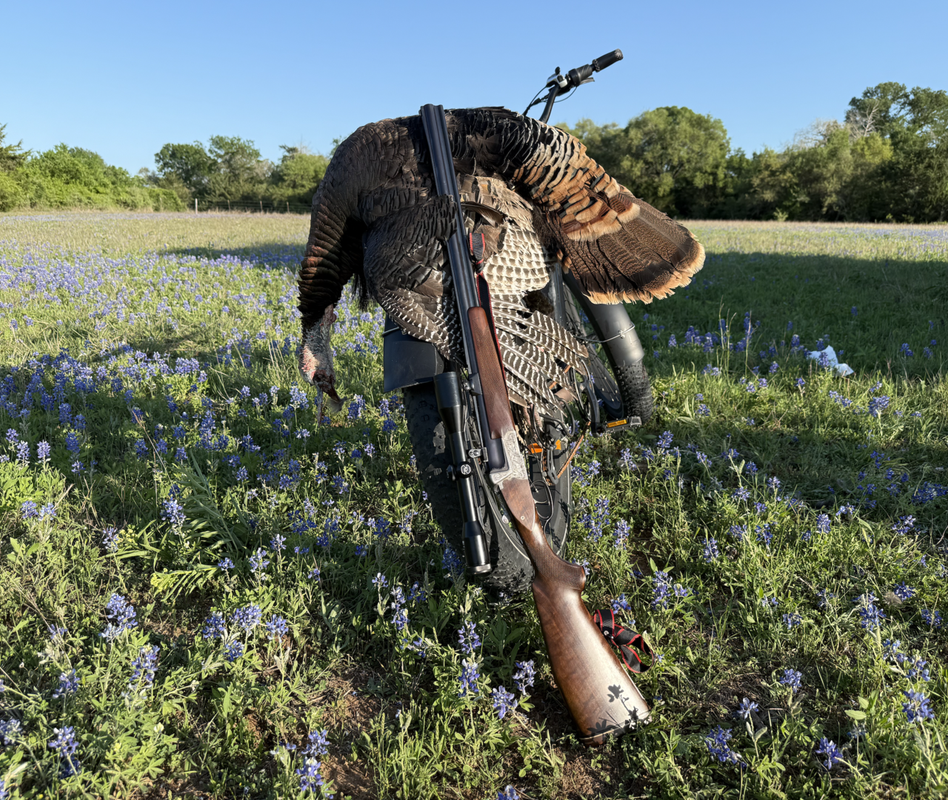 Screen Shot 2025-04-11 at 3.53.49 PM