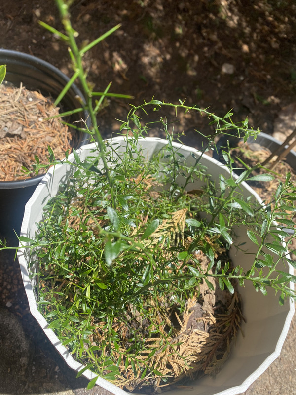 9F8B30FF-4D5B-4EE2-BC52-EB037EDFCC75