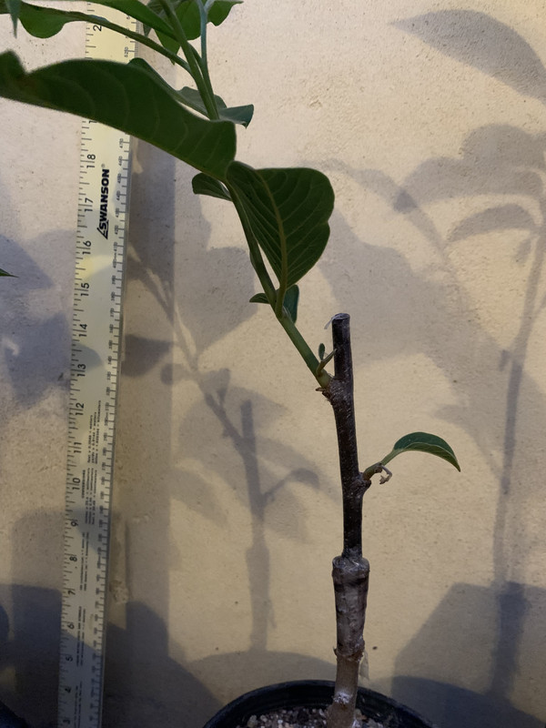 5B15DA8F-B305-49AF-8D94-59533F280C41