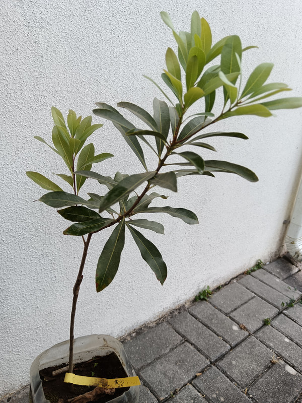 IMG 20260529 193617