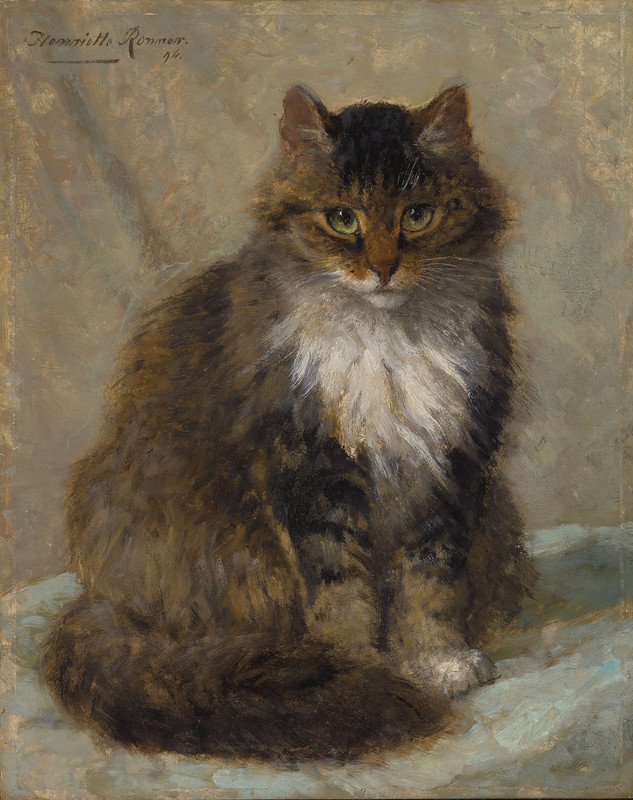 2019-CKS-17295-0252-001-henriette-ronner-knip-the-maine-coon