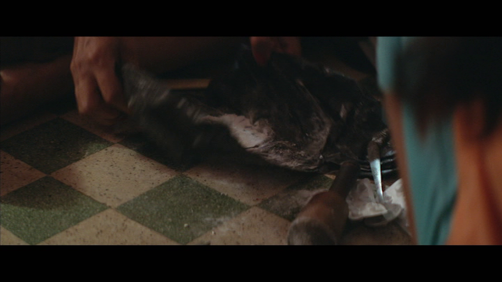 vlcsnap-2023-06-02-11h34m44s903