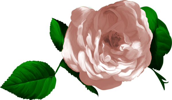 TADD_BrownLove_elements (93)