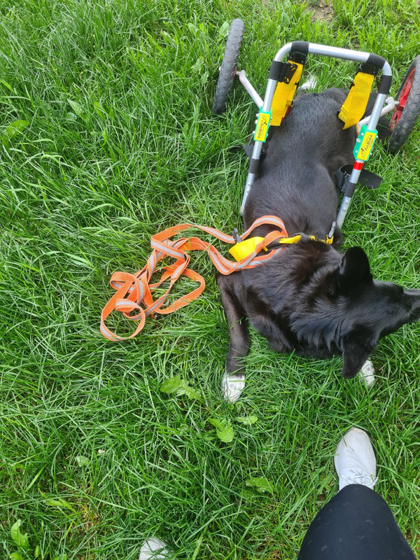 photo_2023-08-21_15-16-53 (4)