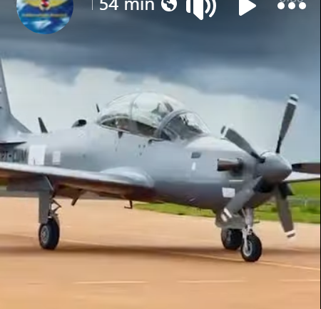 [Imagen: tcano2.png]