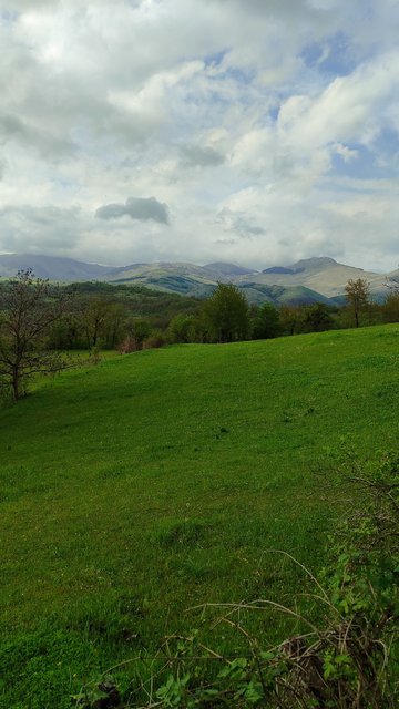 IMG-20240501-165830