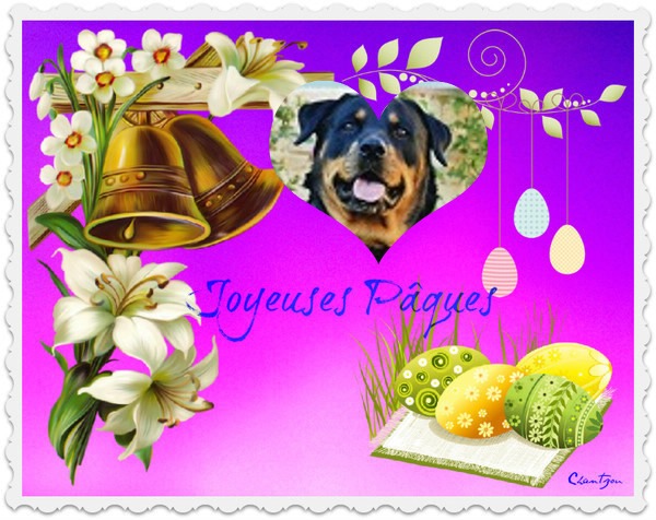 pixiz 27 03 2024 22 43 19