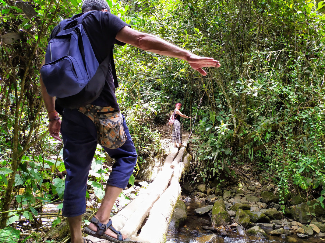 Valle del Cócora y Salento - Colombia por libre en 18 días (17)