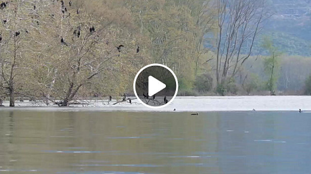 Στιγμιότυπο πλήρους οθόνης 1342026 113110 μμ