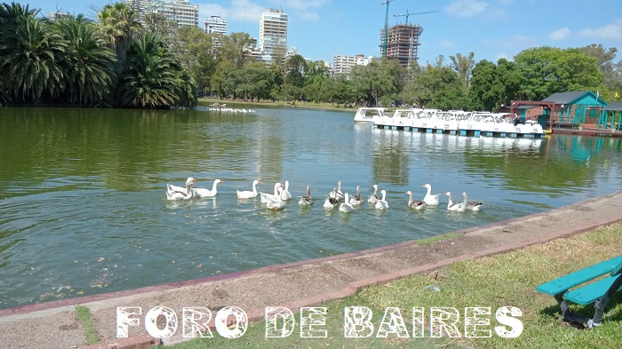 fotopalermogansos6